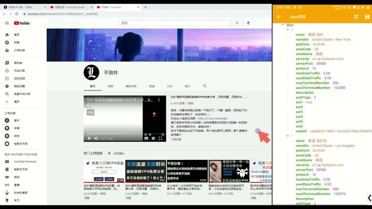 玩转网络分析：通过抓包获取VPN节点信息的全流程指南