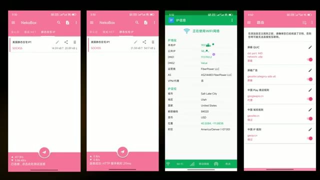 IP纯净度检测结果显示美国住宅IP